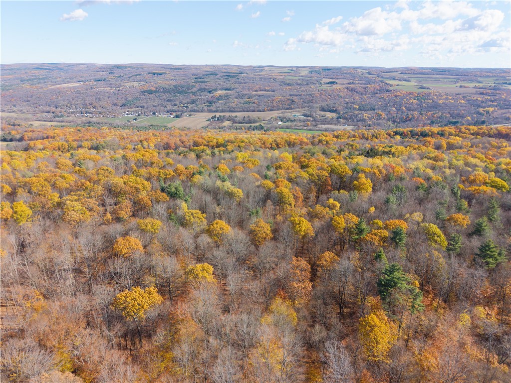 8387 Carney Hollow Road