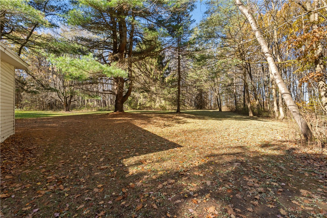 8387 Carney Hollow Road