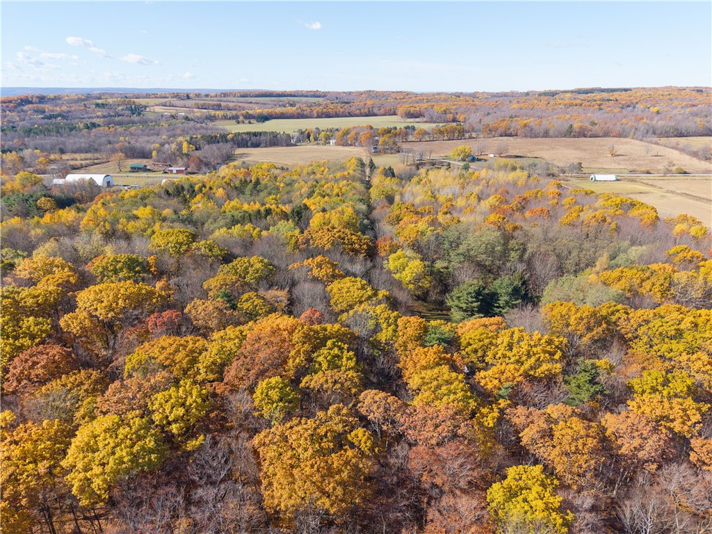 8387 Carney Hollow Road