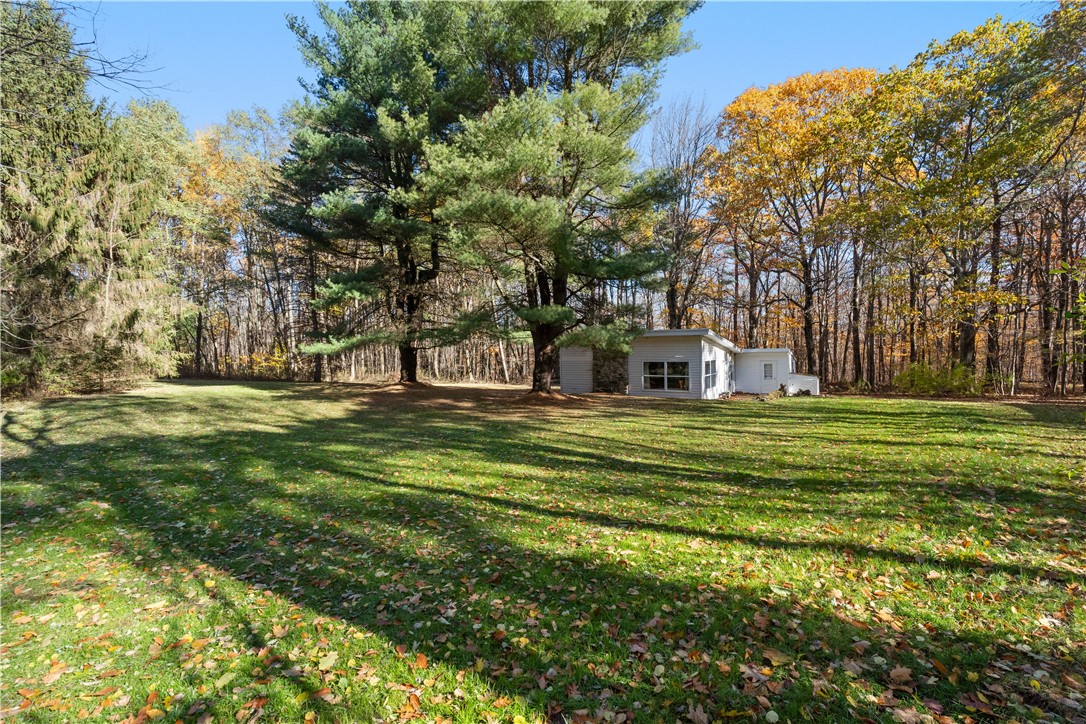 8387 Carney Hollow Road