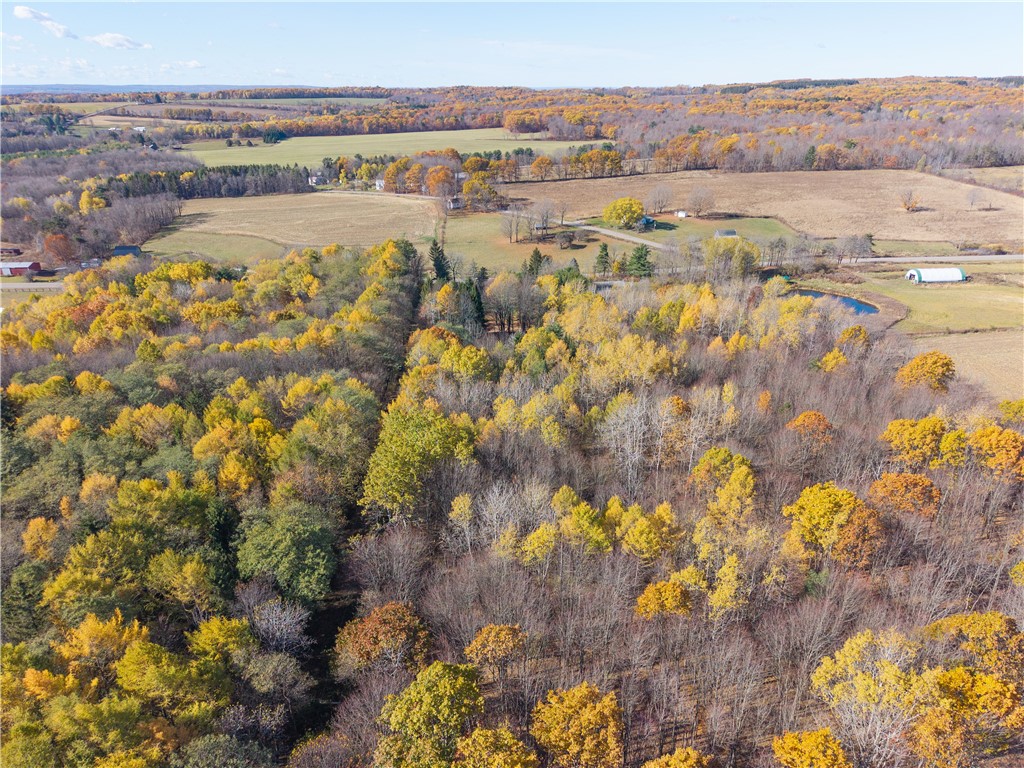 8387 Carney Hollow Road