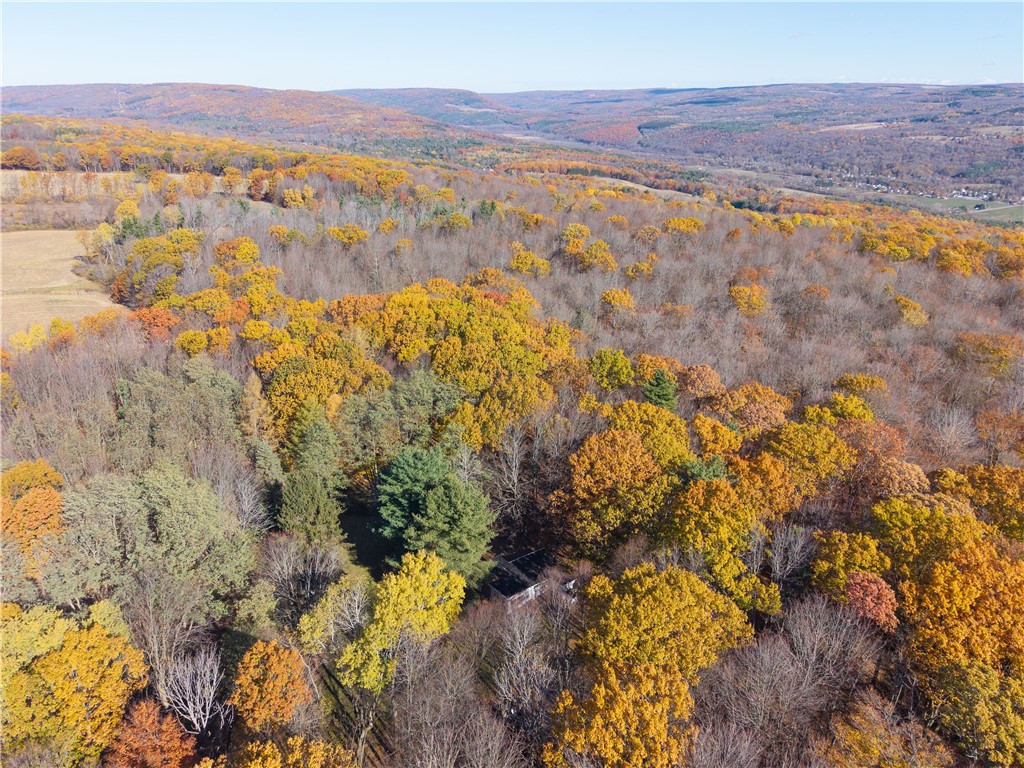 8387 Carney Hollow Road