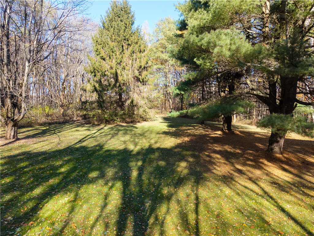 8387 Carney Hollow Road