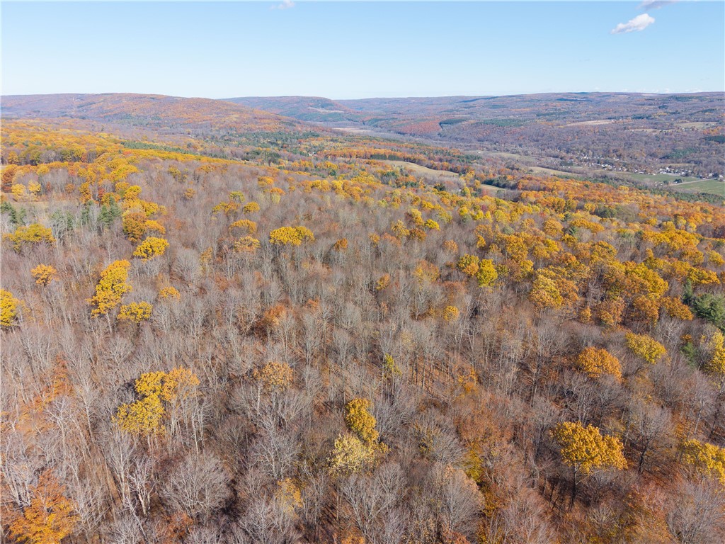 8387 Carney Hollow Road