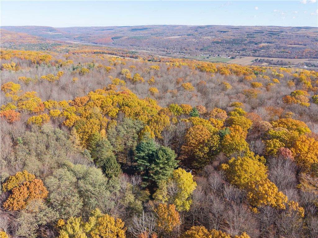 8387 Carney Hollow Road