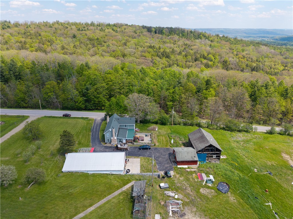 11288 Scott Hill Road
