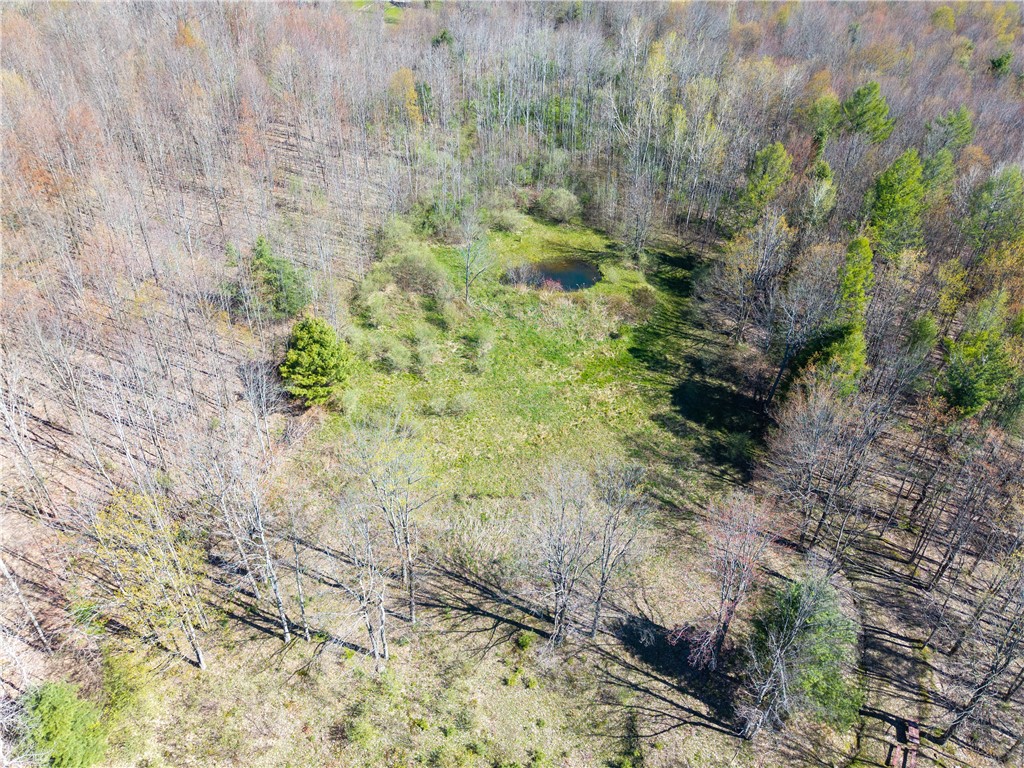 2231 Wearkley Road