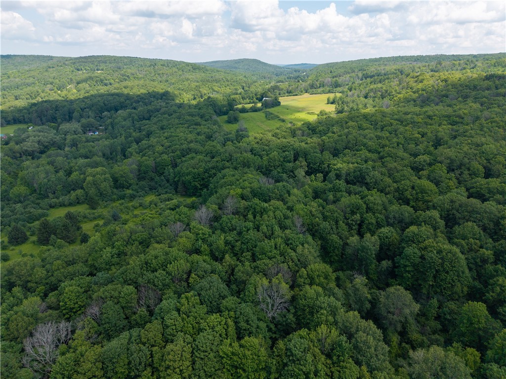 9052 County Road 15b