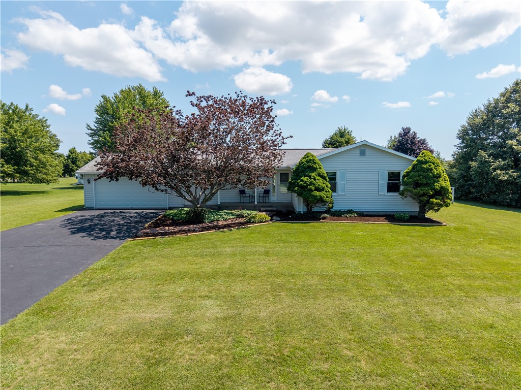 1261 Middle Road