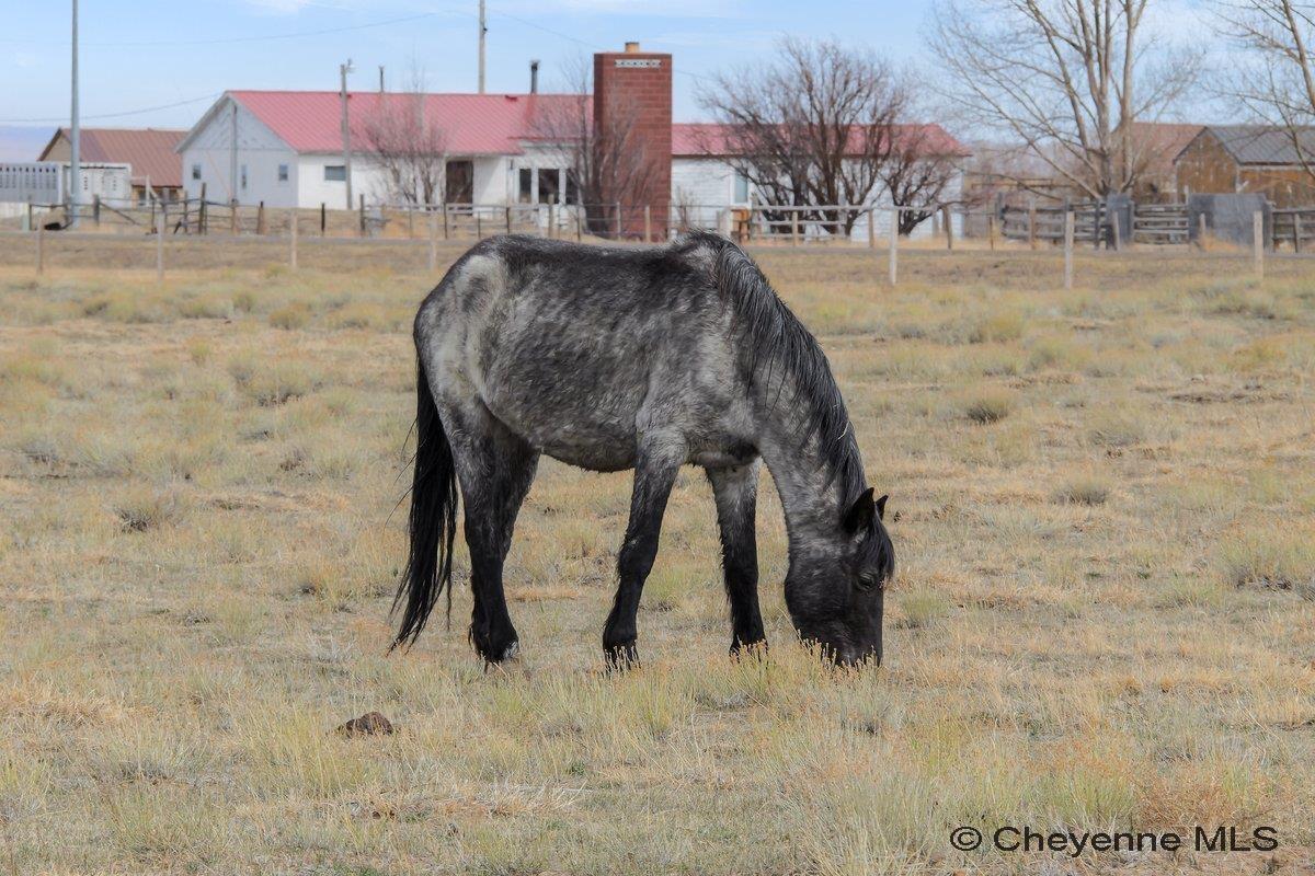347 WILD HORSE RANCH