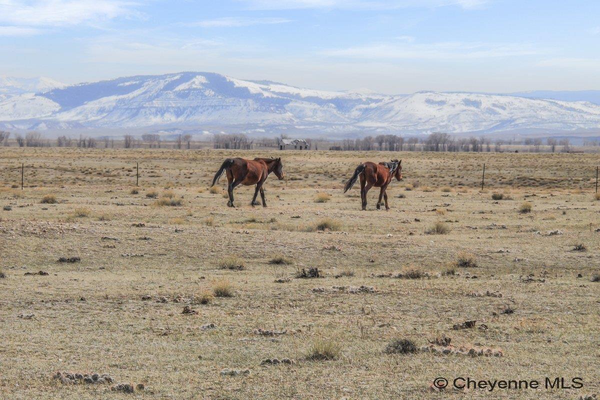 347 WILD HORSE RANCH