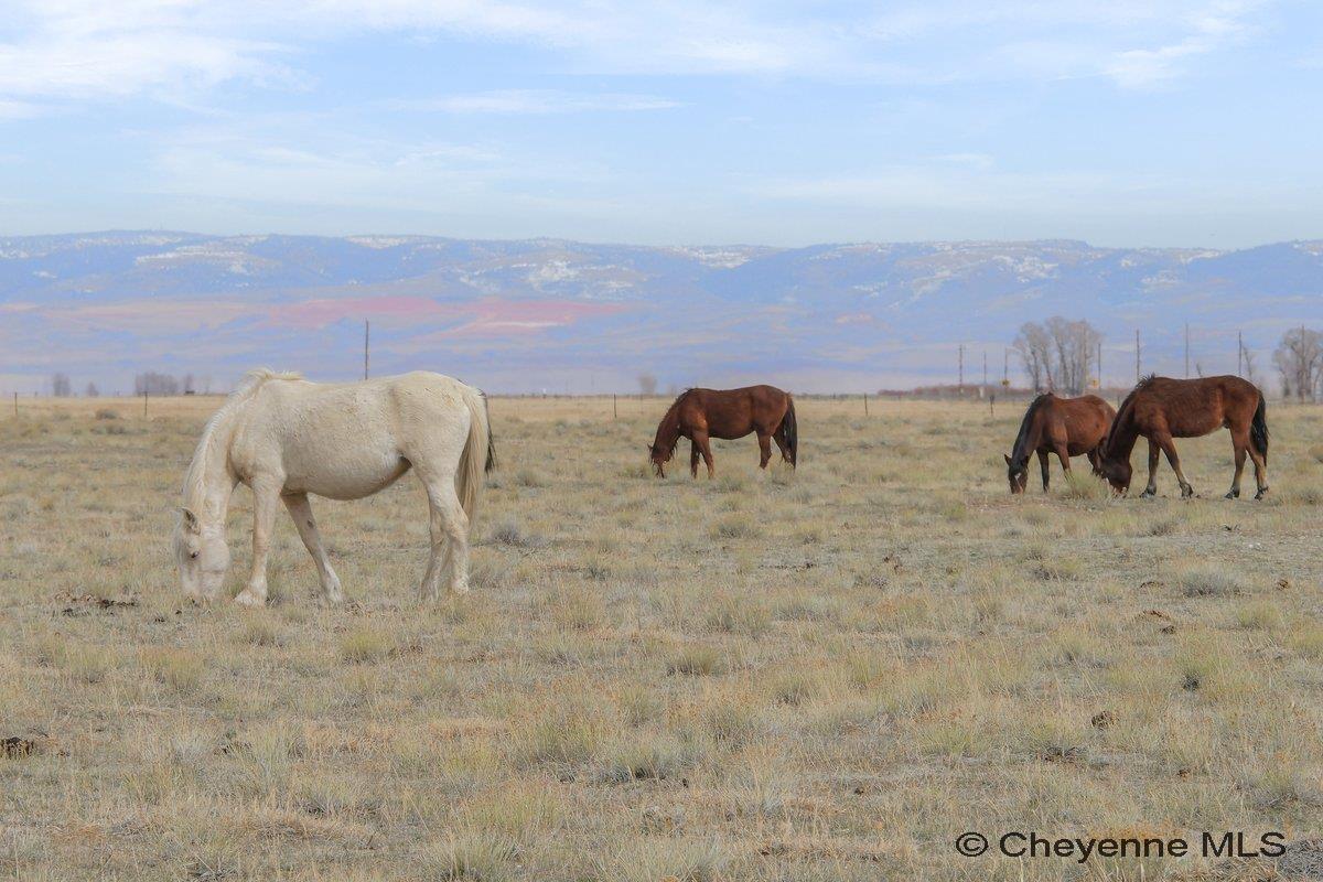 347 WILD HORSE RANCH