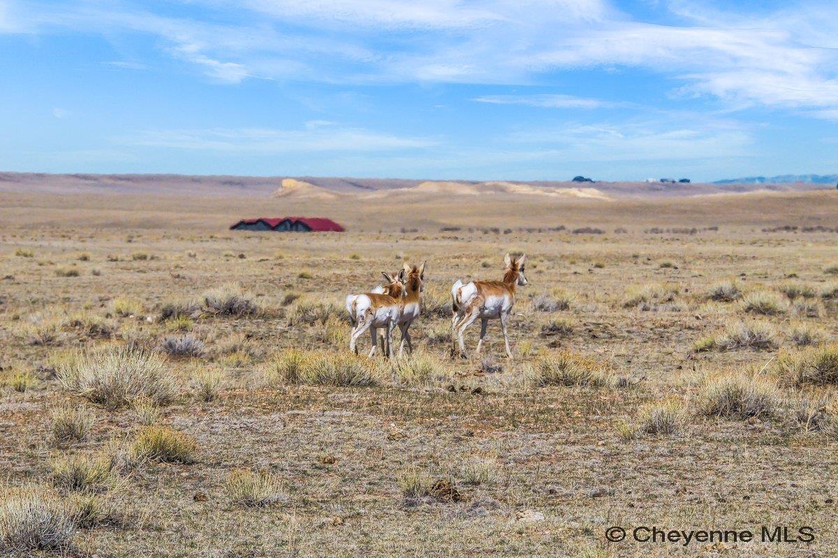 347 WILD HORSE RANCH