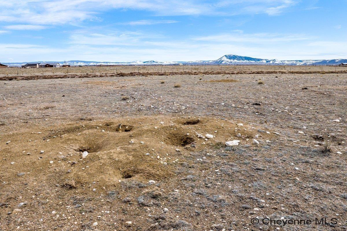 347 WILD HORSE RANCH