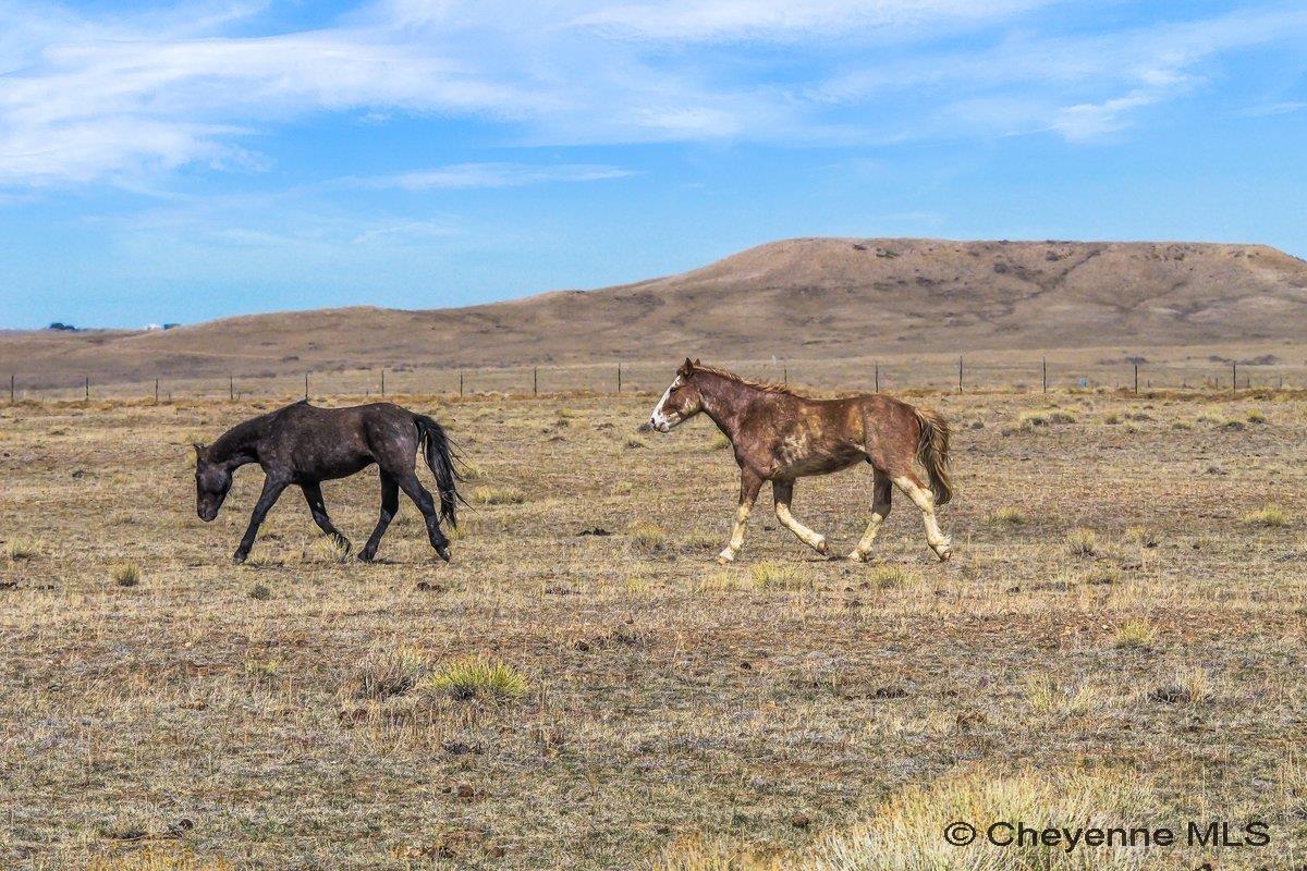 347 WILD HORSE RANCH