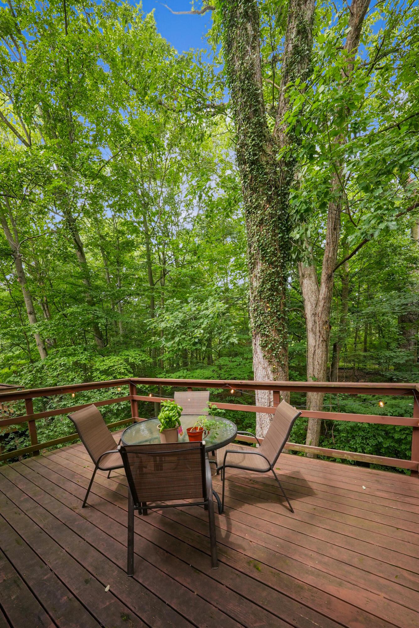 3754 Canon Ridge Place