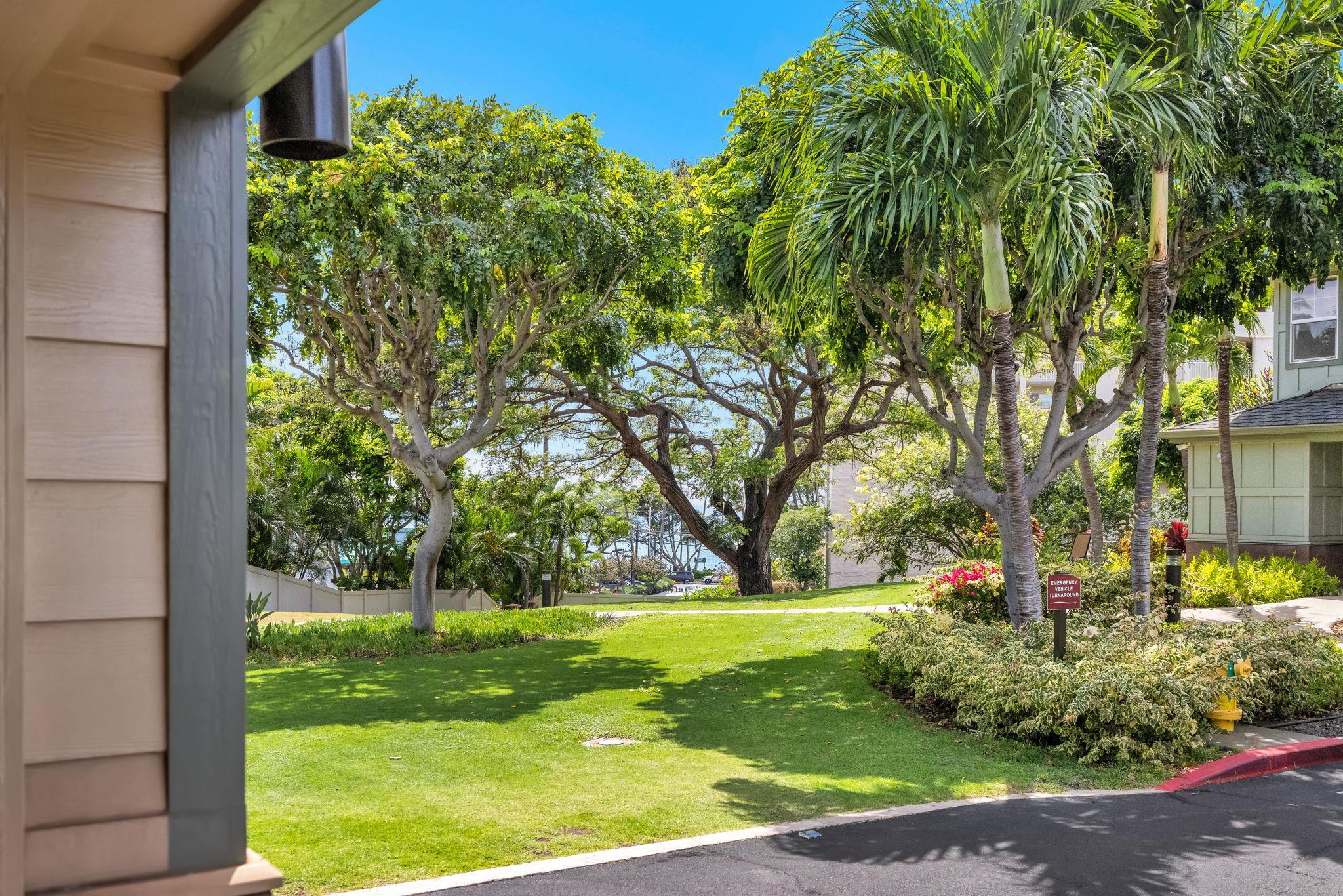 34 Hauwawine Ln Unit: G 103