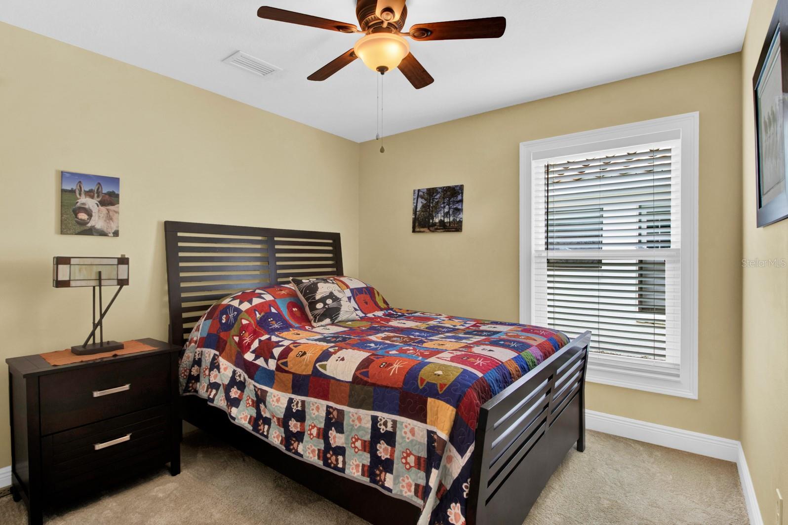 528 VIA DEL ORO DR