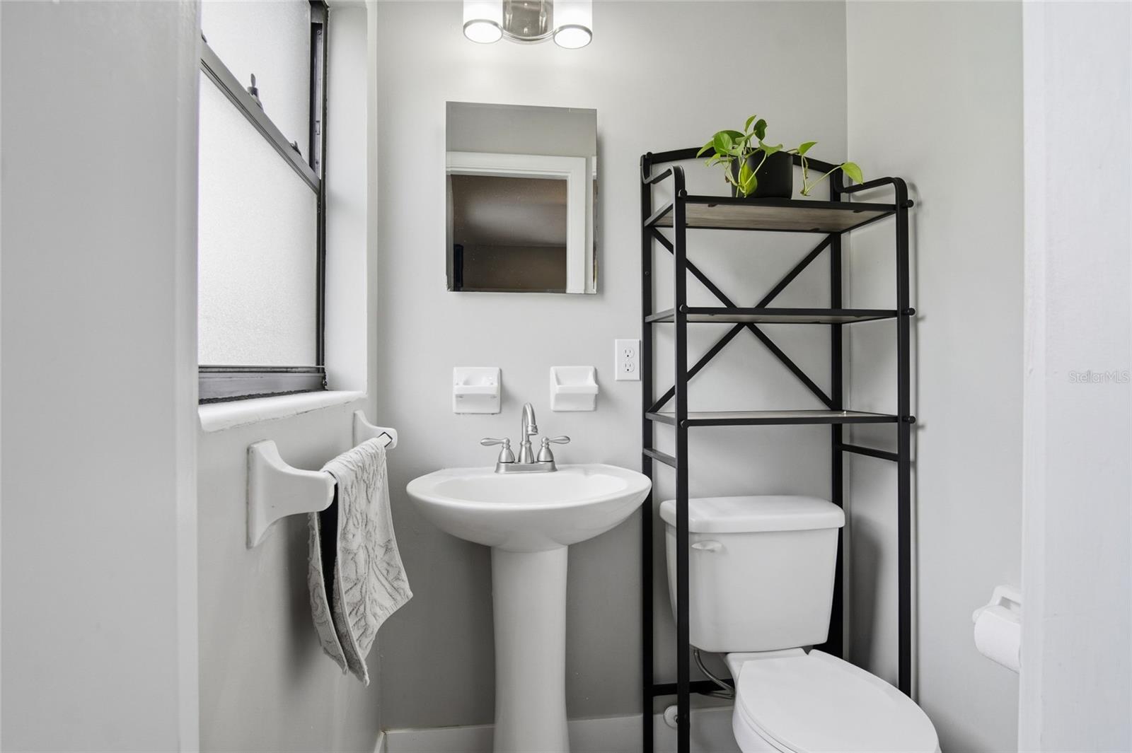 Bathroom with a pedestal sink, toilet, mirror, and black shelving topped with a green plant.