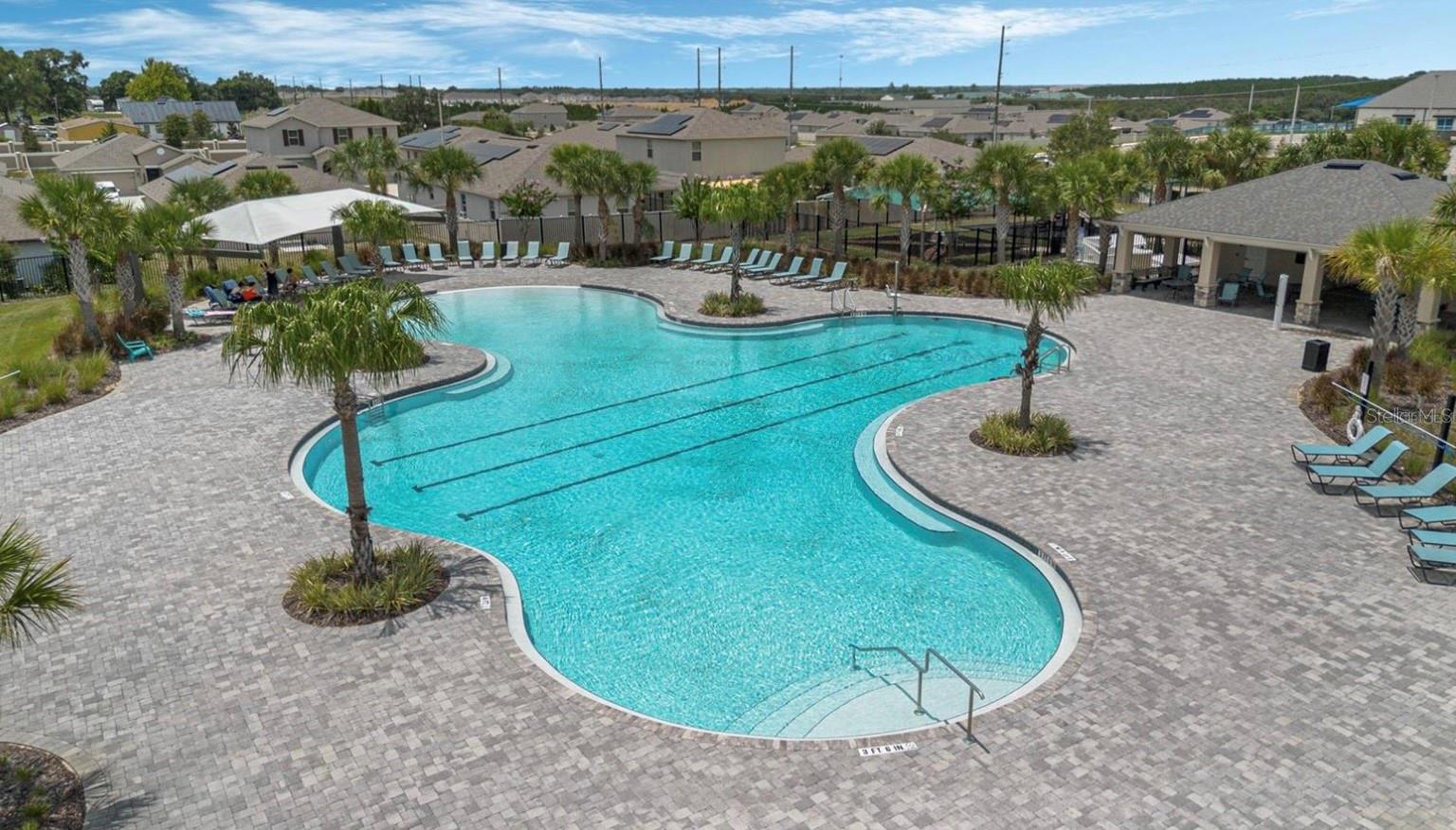 Community swimming pool with a curving shape, palm trees, and a wide paved deck.