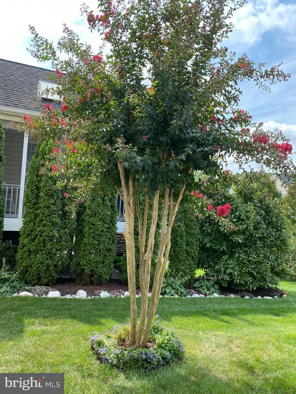 306 GRINDSTONE DRIVE