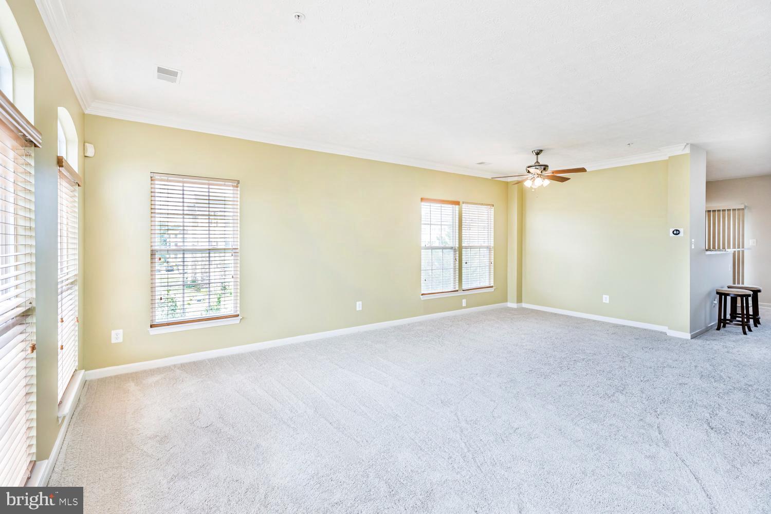 11002 Mill Centre DRIVE Unit: 11002