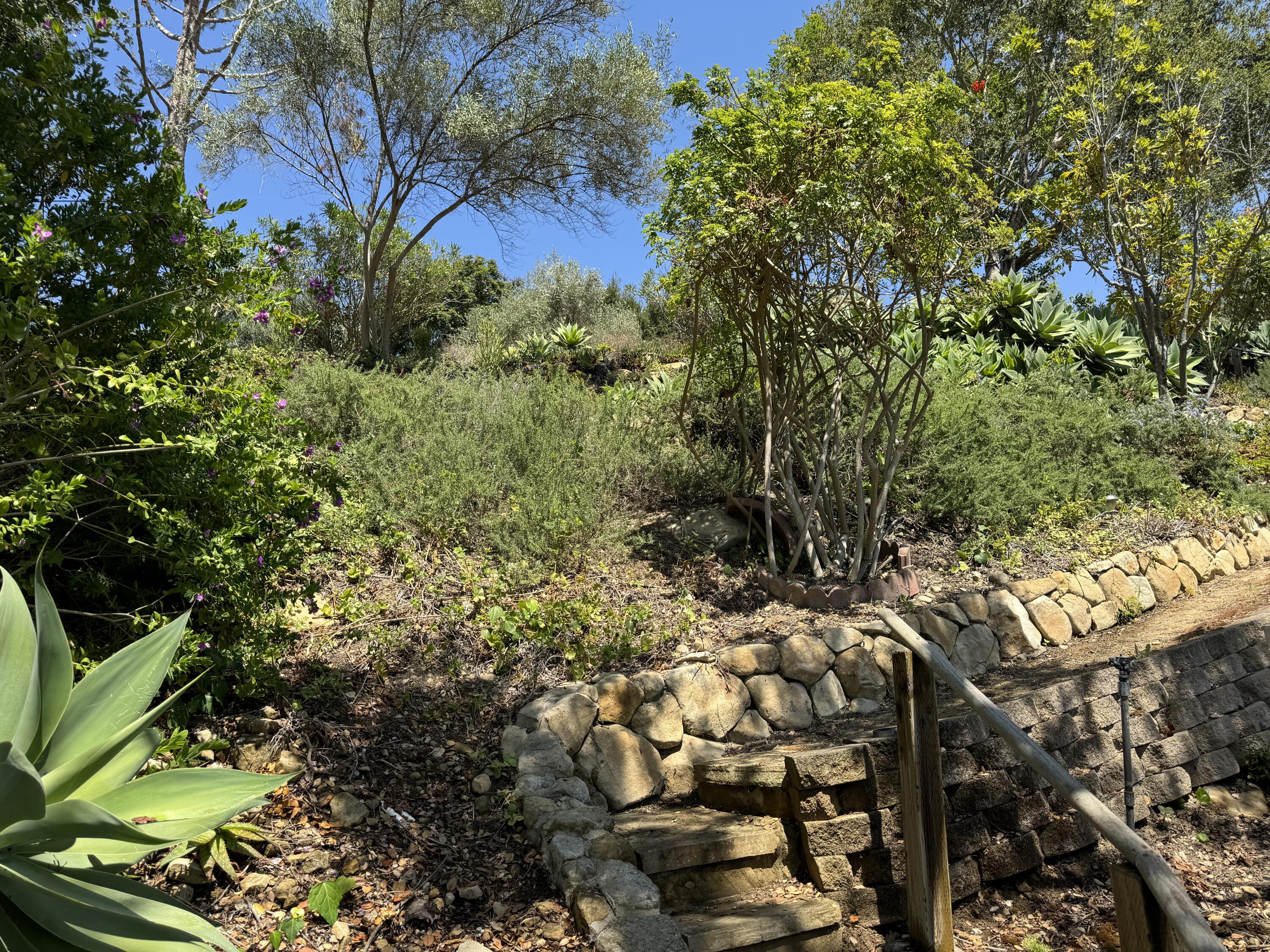 902 Aleeda Lane