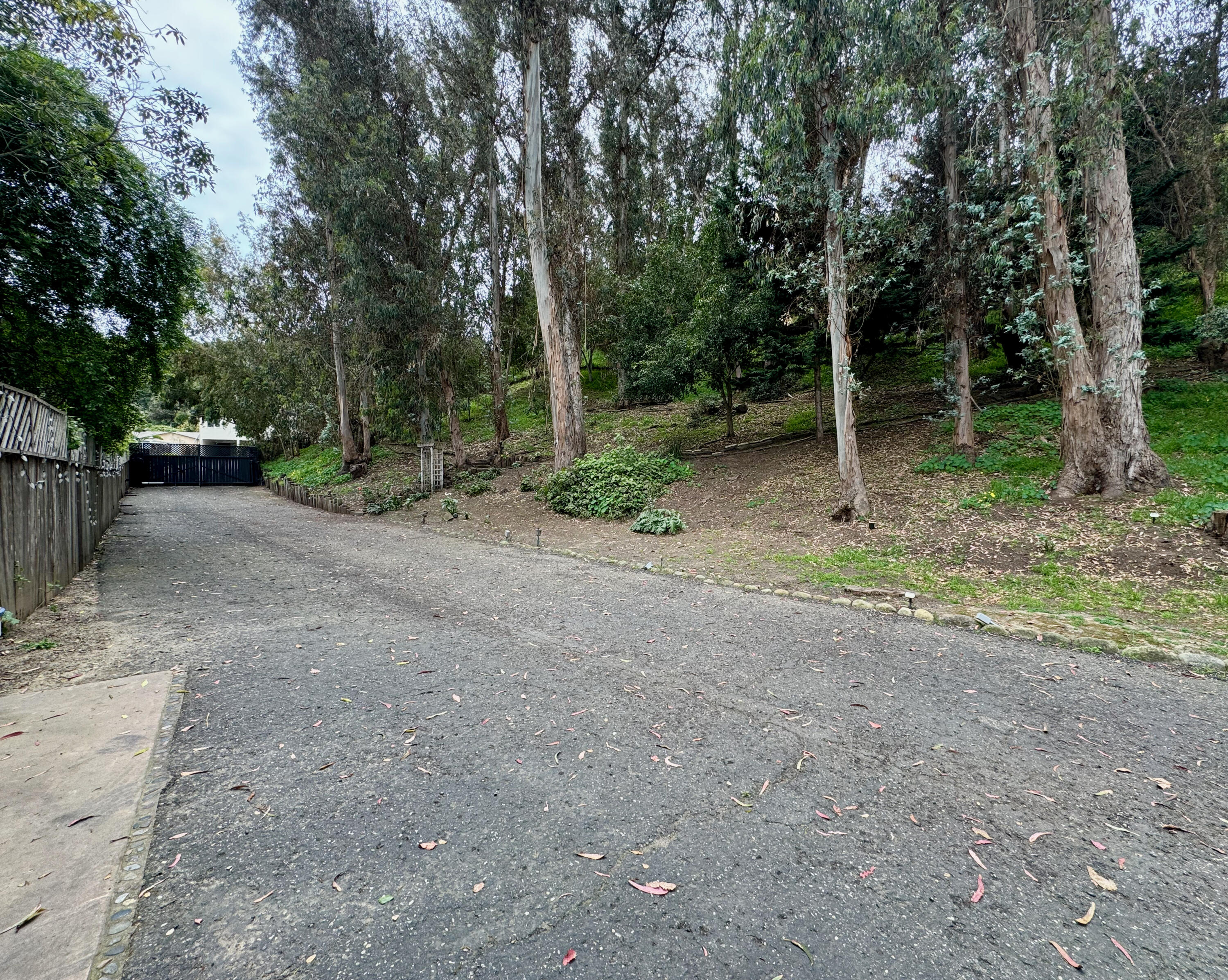 914 W Anapamu Street
