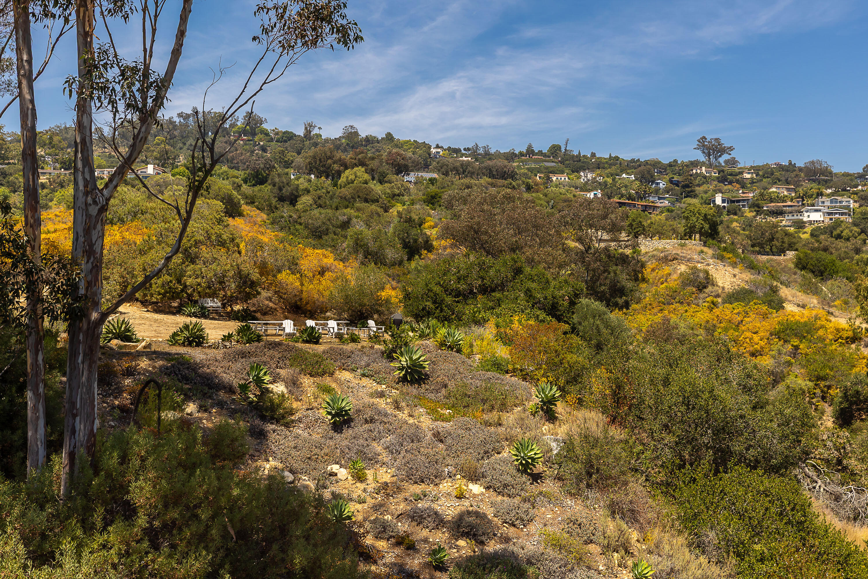 813 E Anapamu Street 4b