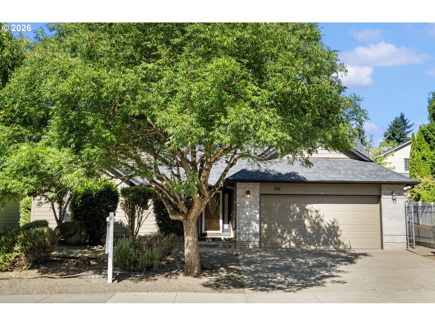891 WHITETAIL DEER ST