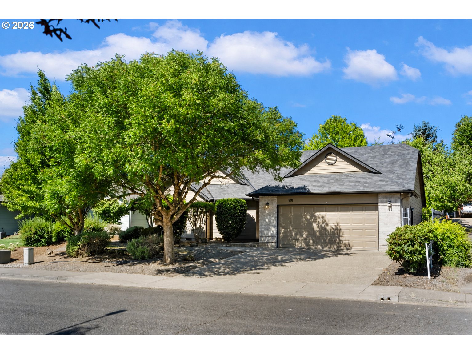891 WHITETAIL DEER ST