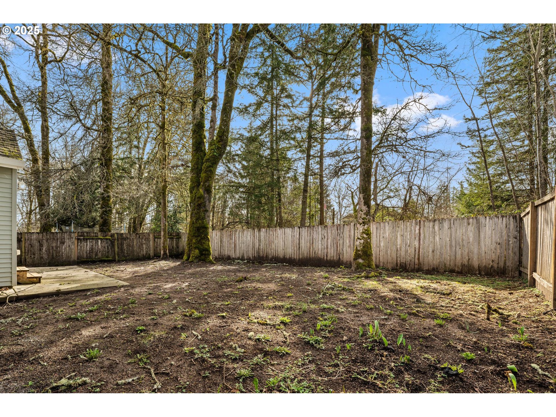 59533 DARCY ST, St. Helens