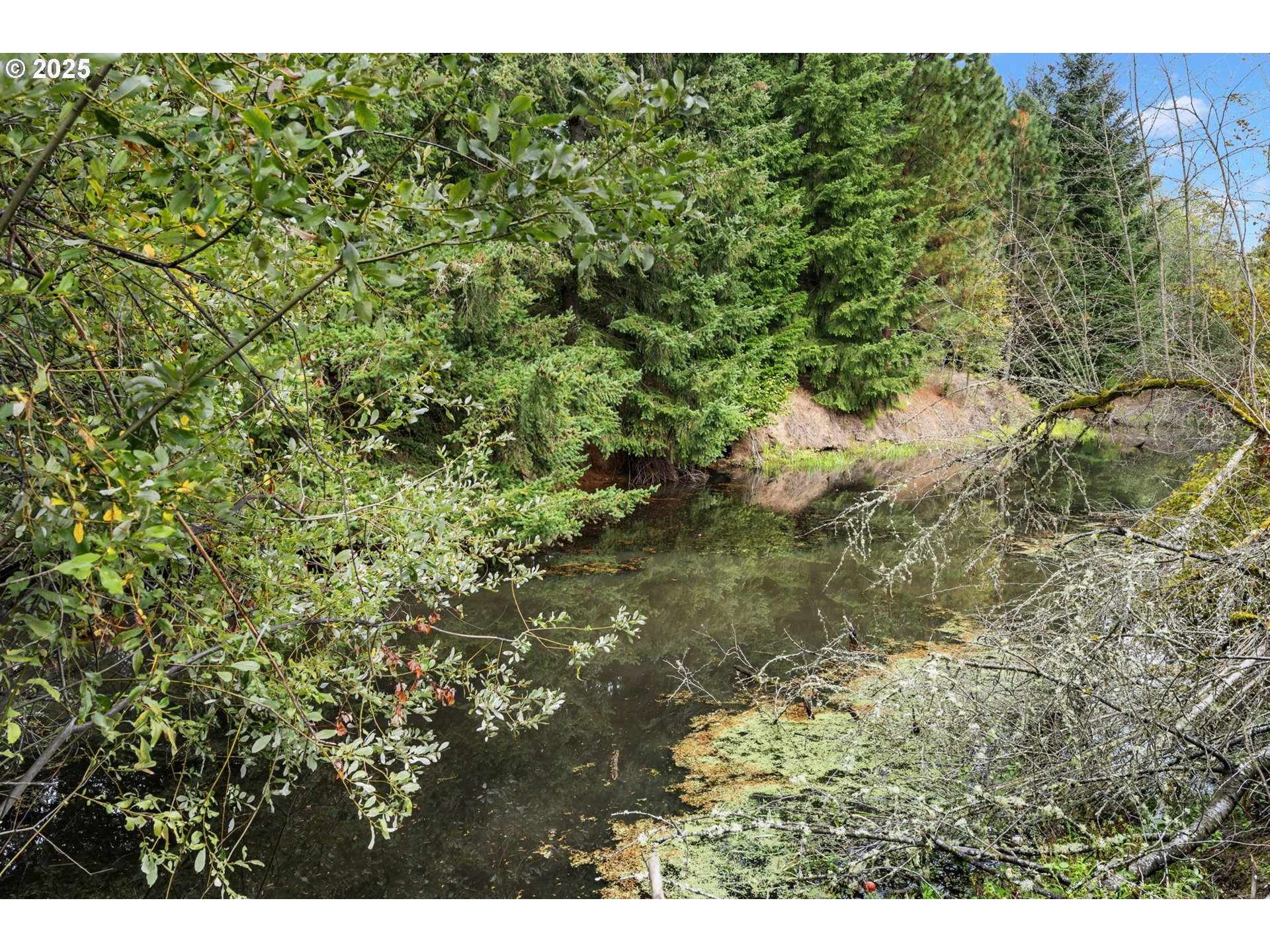 17703 SW HEATHERWOOD LN