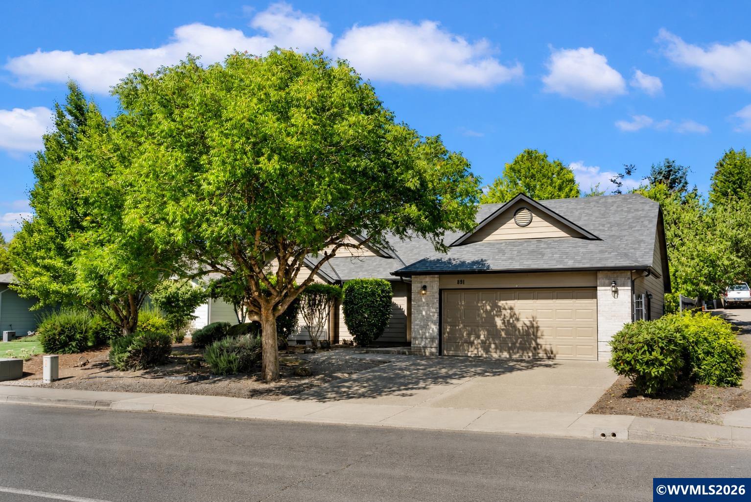 891 Whitetail Deer St