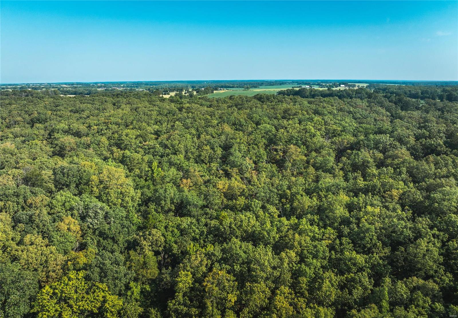 13997 Maries Road 449