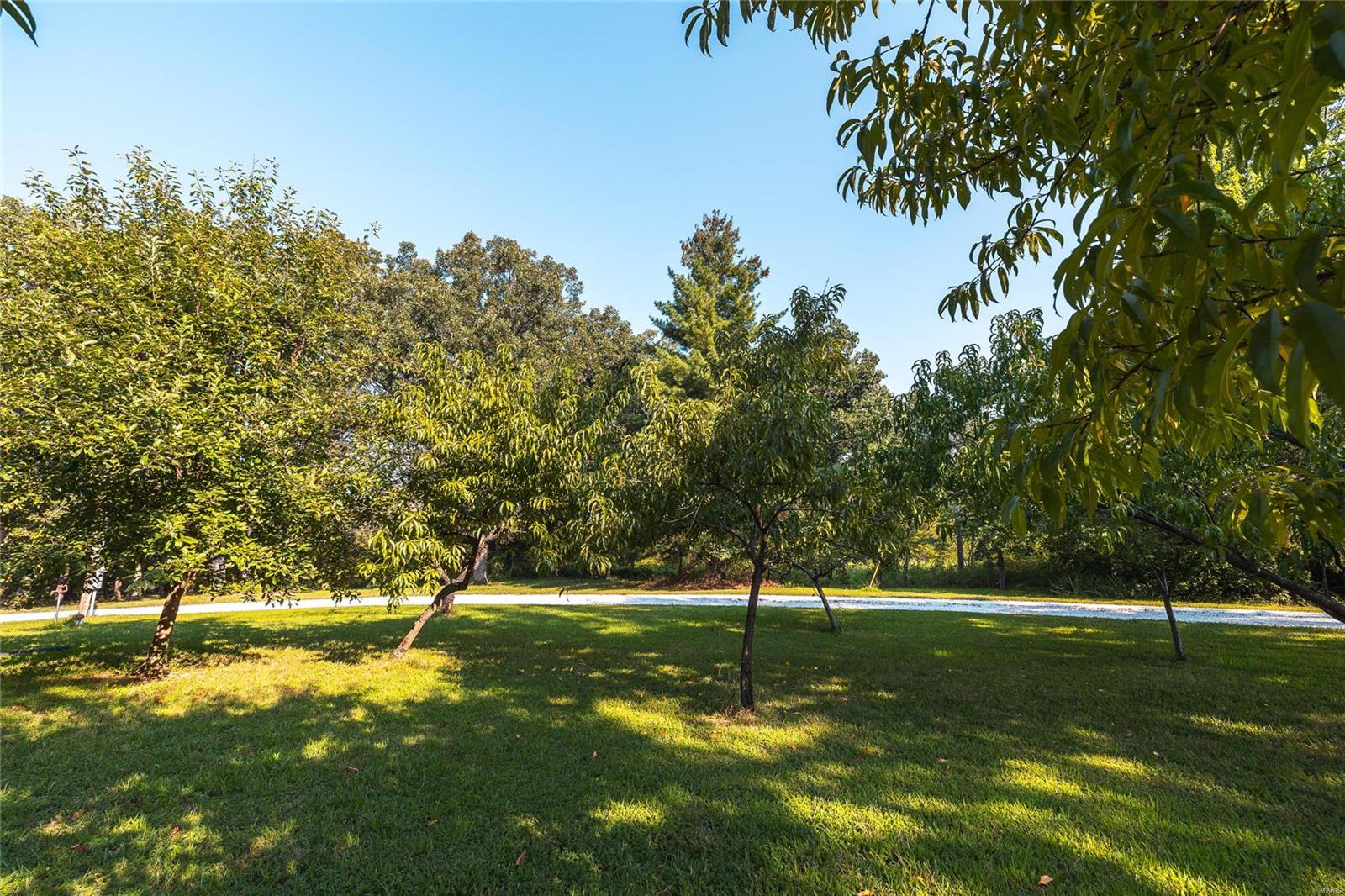 13997 Maries Road 449