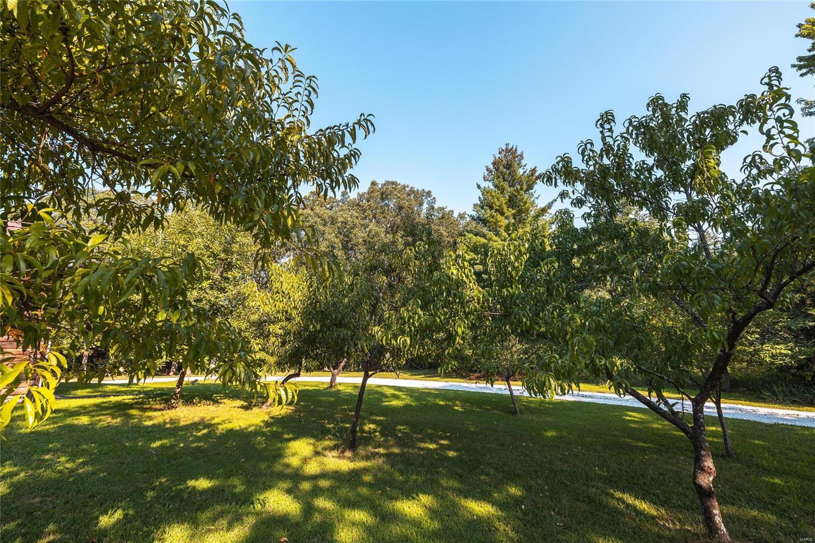 13997 Maries Road 449