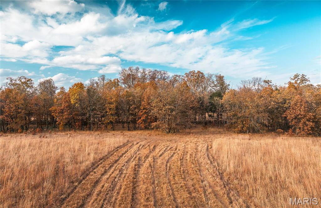 16851 County Road 1060