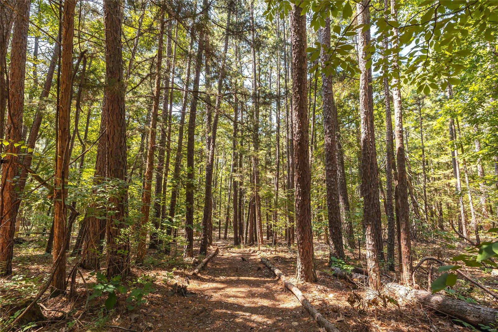 18642 County Road 3480