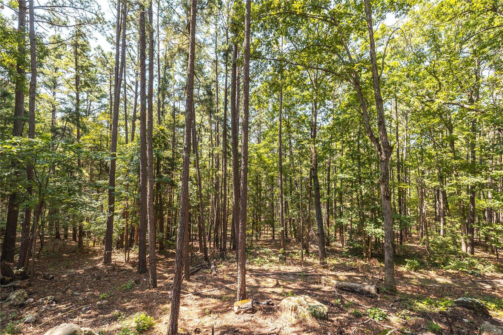 18642 County Road 3480