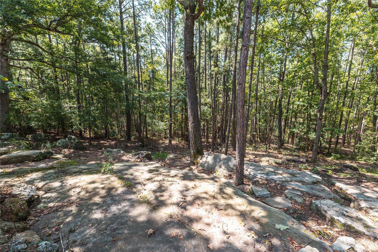 18642 County Road 3480