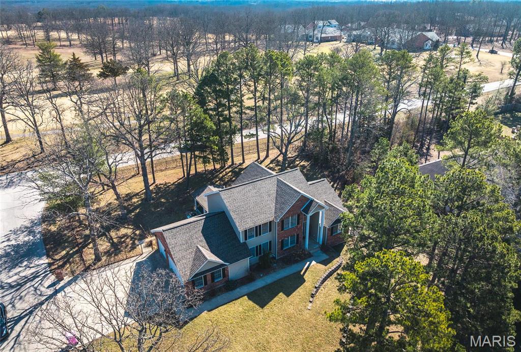 11970 Pine Forest