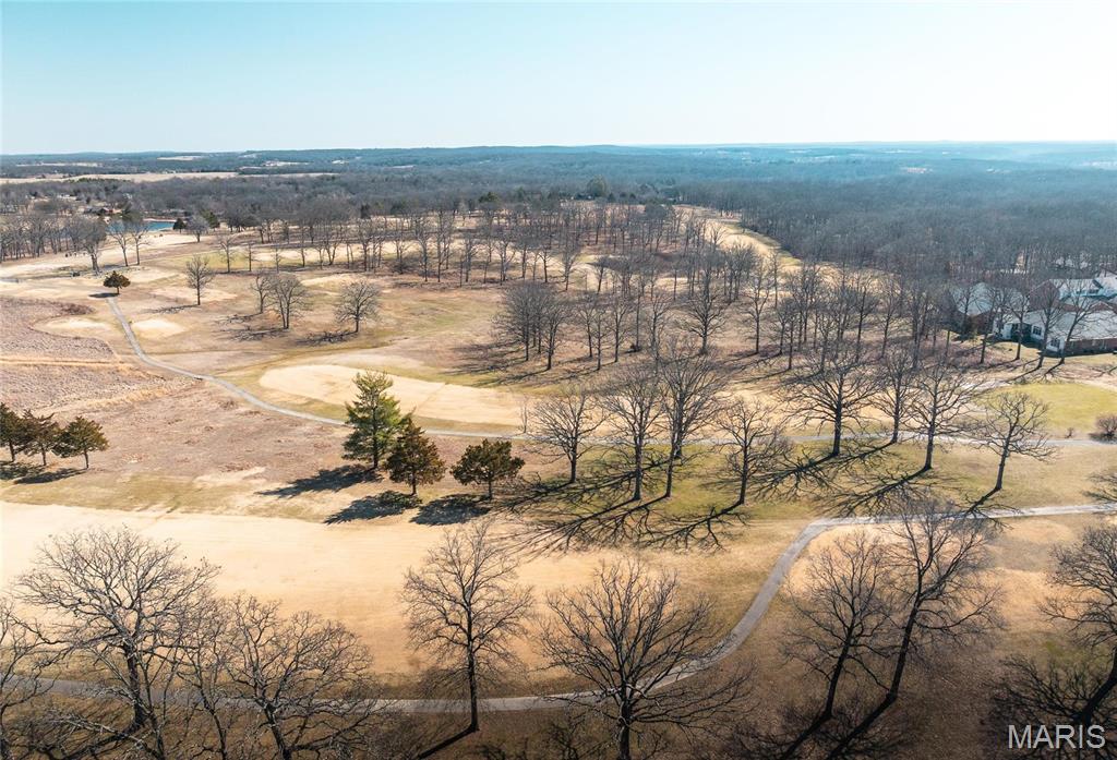 11970 Pine Forest