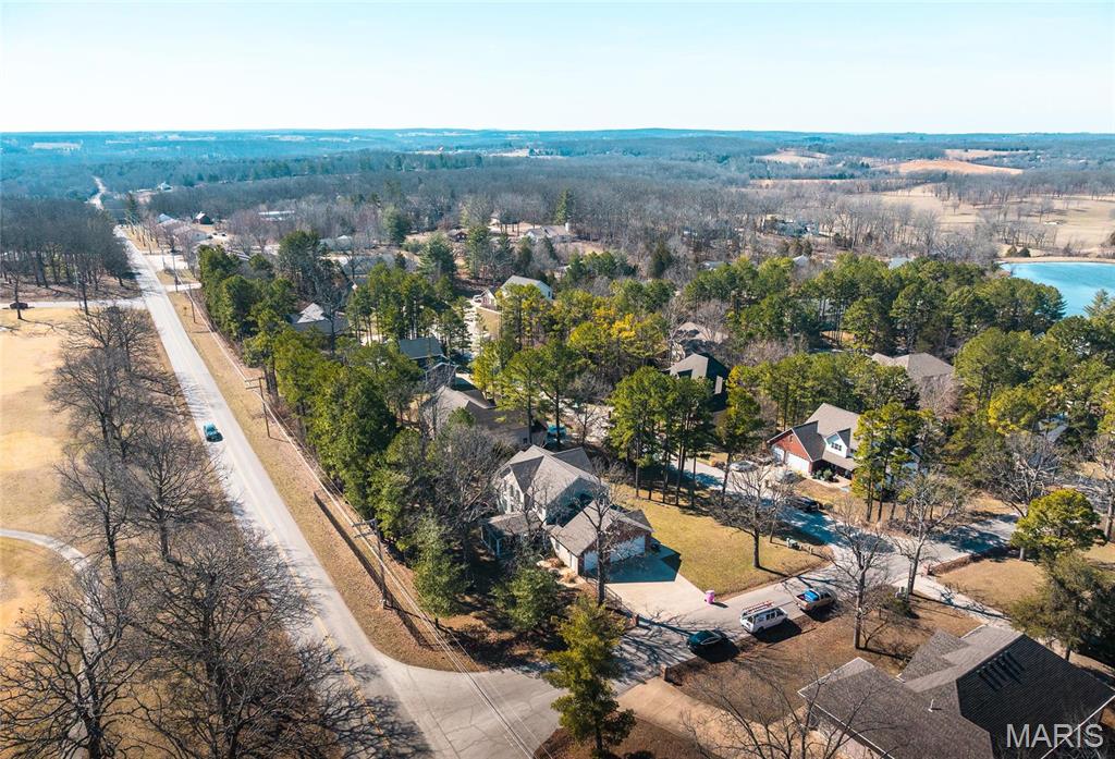 11970 Pine Forest