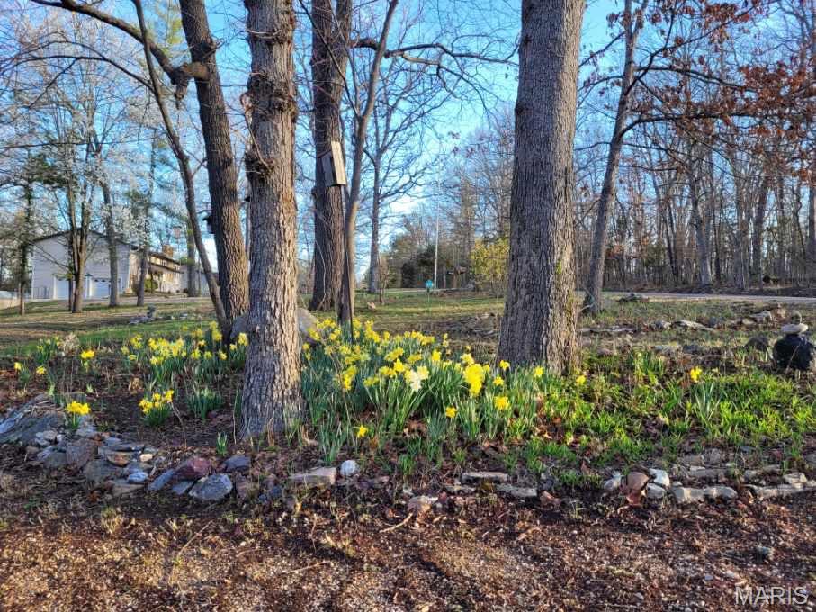 10235 County Road 3070