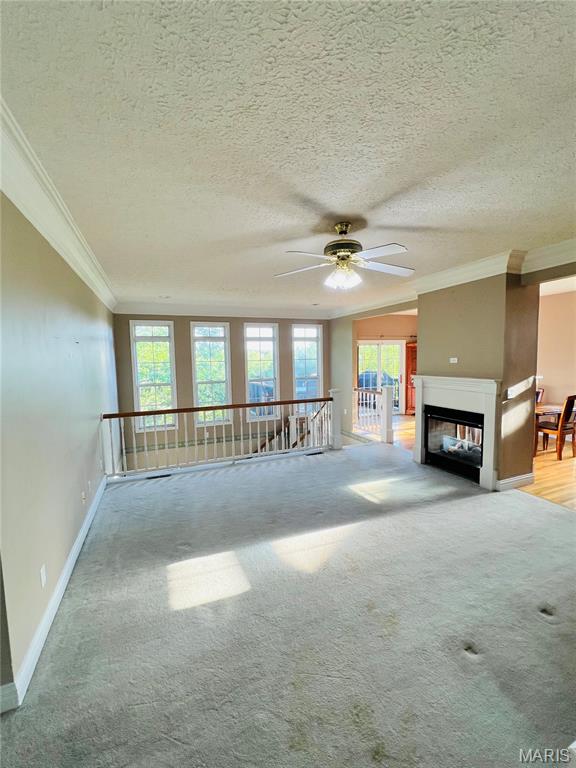 1013 Cypress Drive