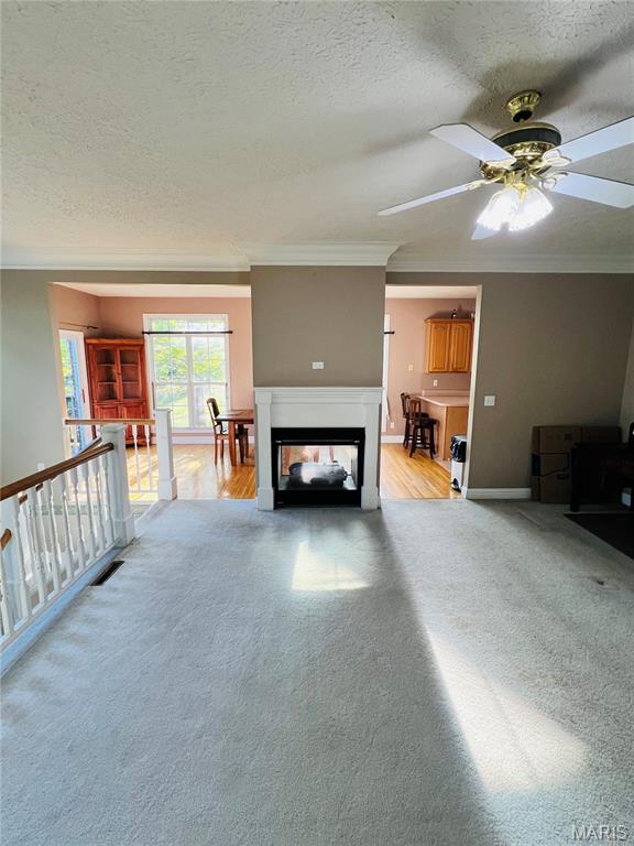 1013 Cypress Drive