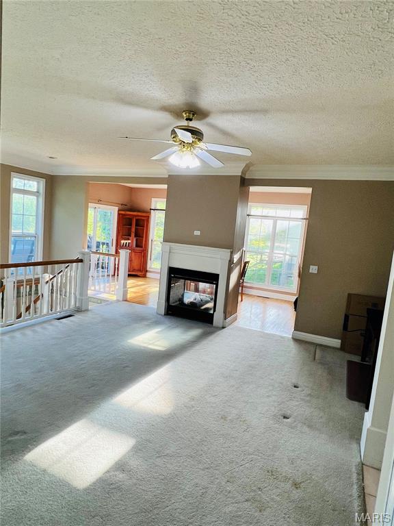 1013 Cypress Drive