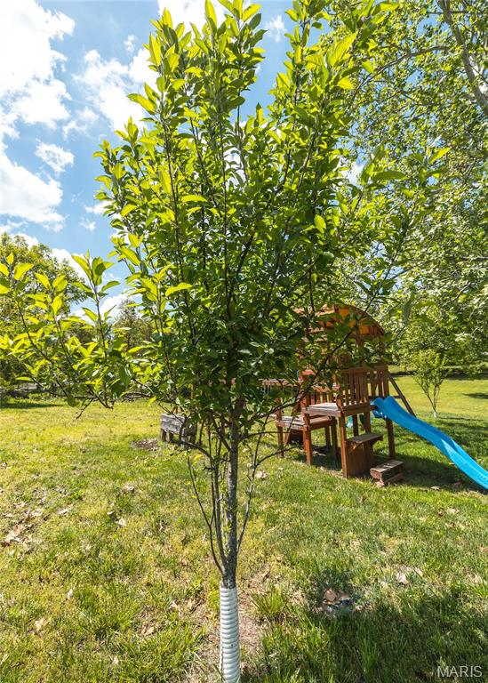 308 Dana Renee Drive