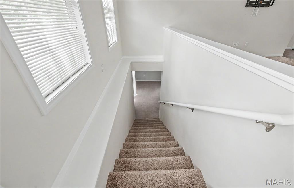 308 Dana Renee Drive